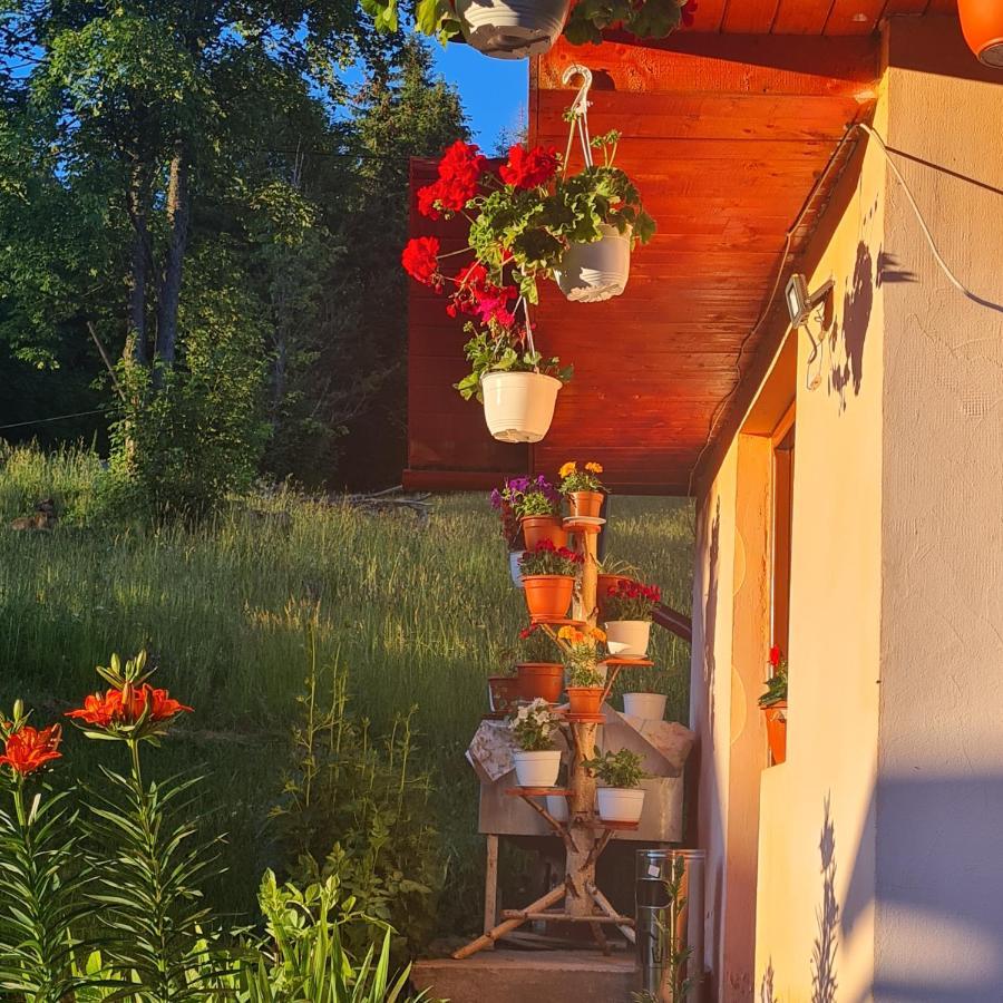 Cabana Cret Ocoale Exterior photo